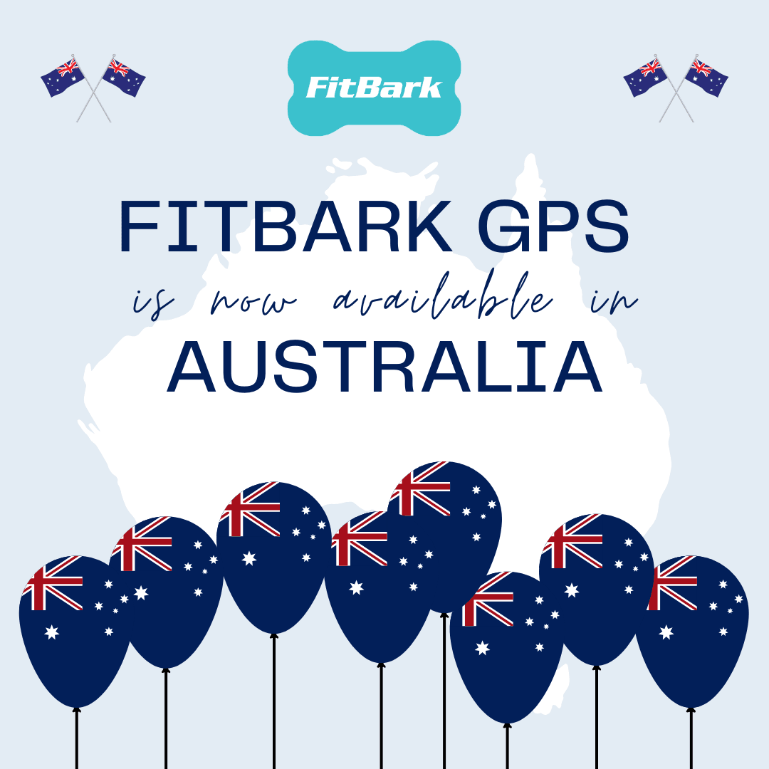 FitBark_GPS_Australian_Launch.png