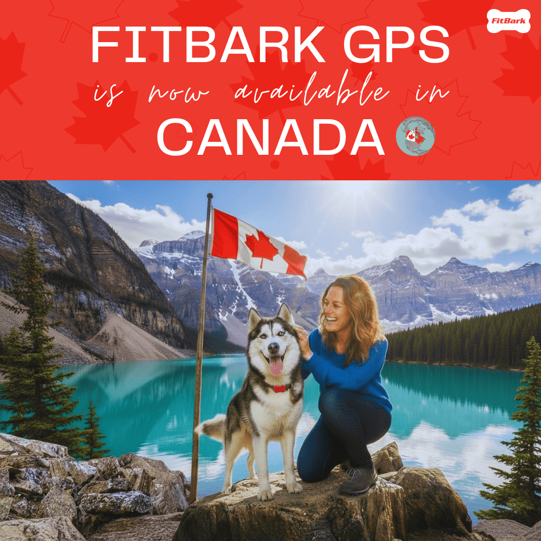 FitBarkGPS_Canada 1080x1080.png