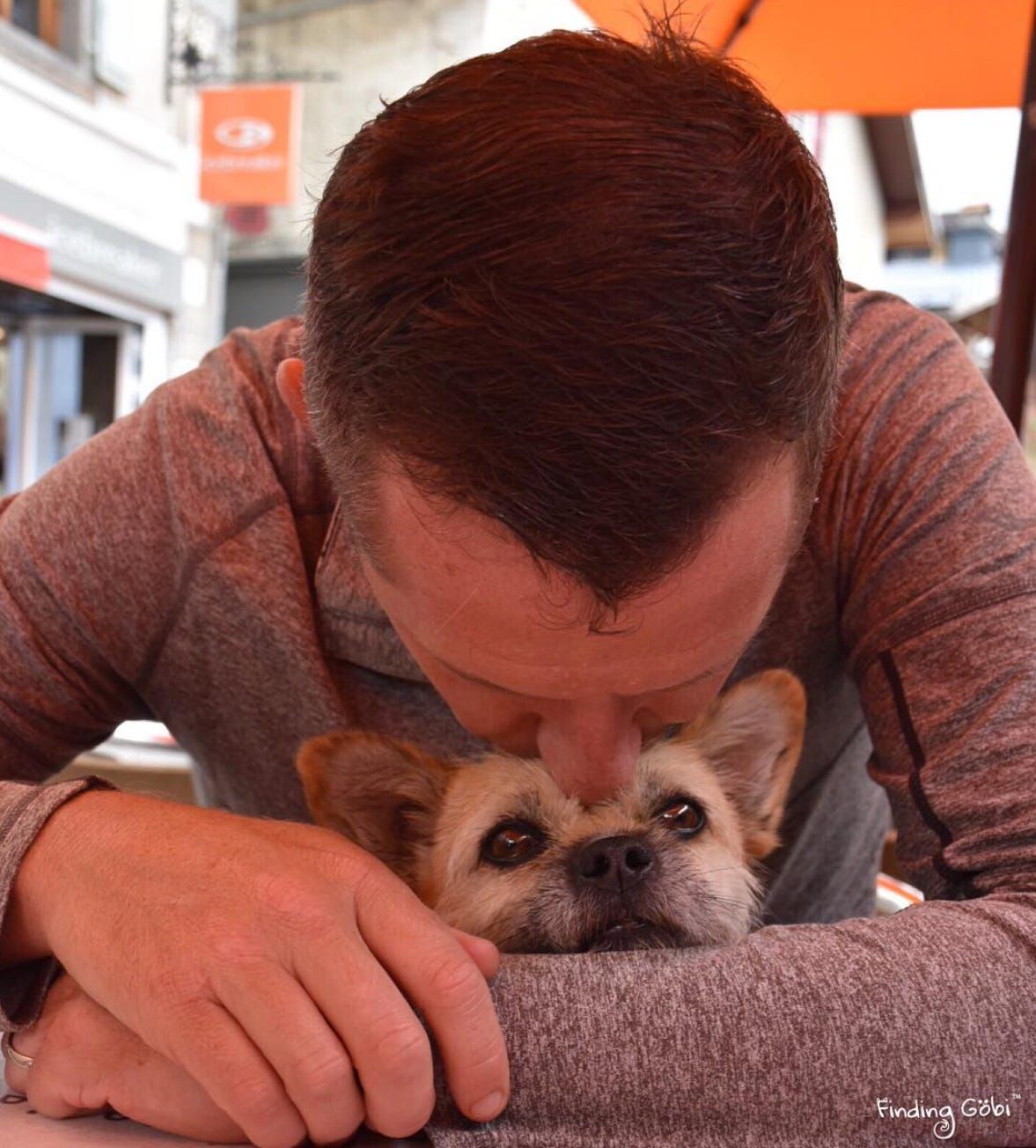 FitBark_Gobi_Dion_Kiss.jpg
