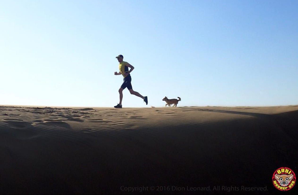 FitBark_Gobi_Dion_Running_Desert.jpg