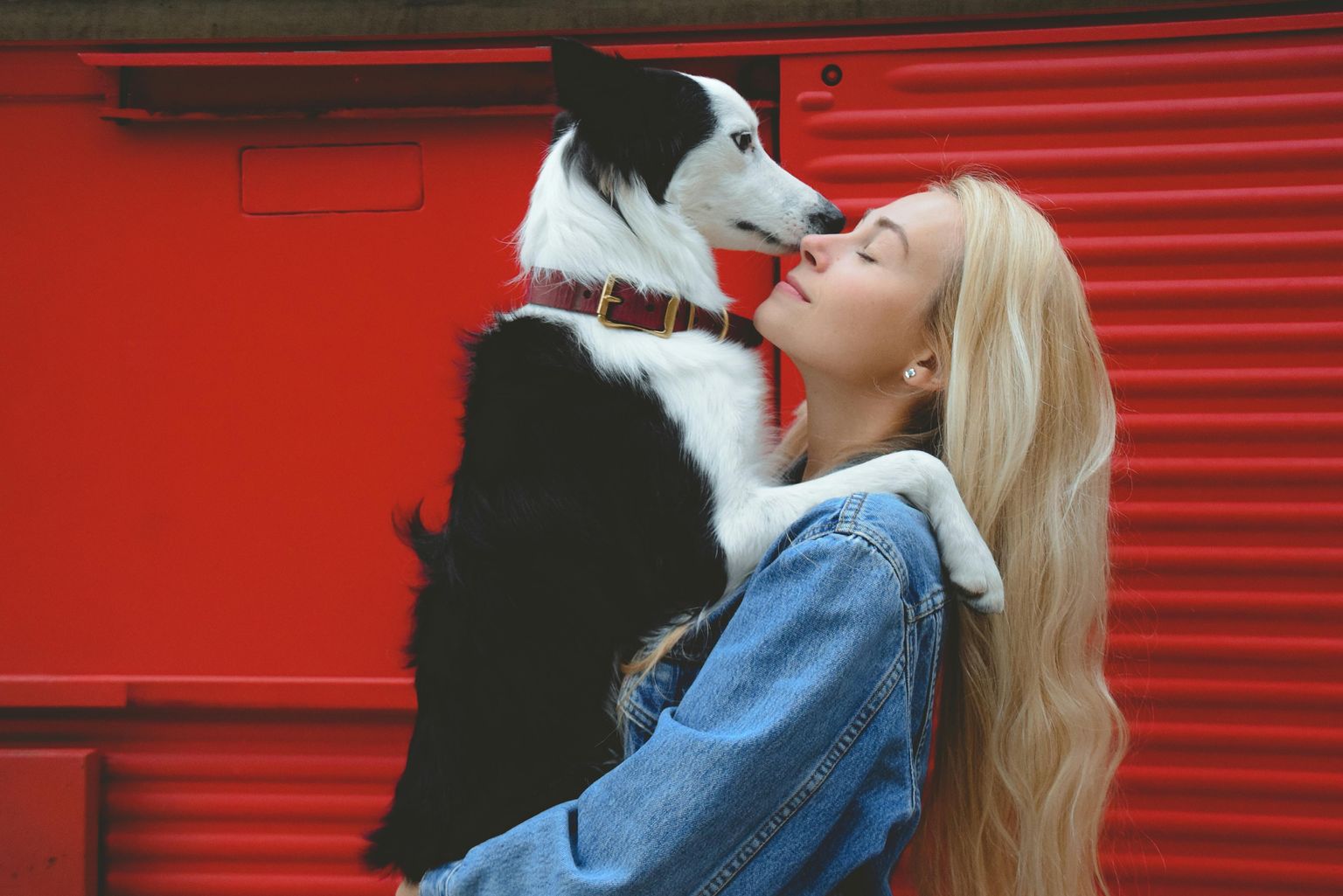 Best Emotional Support Dog Breeds For Anxiety And Depression FitBark